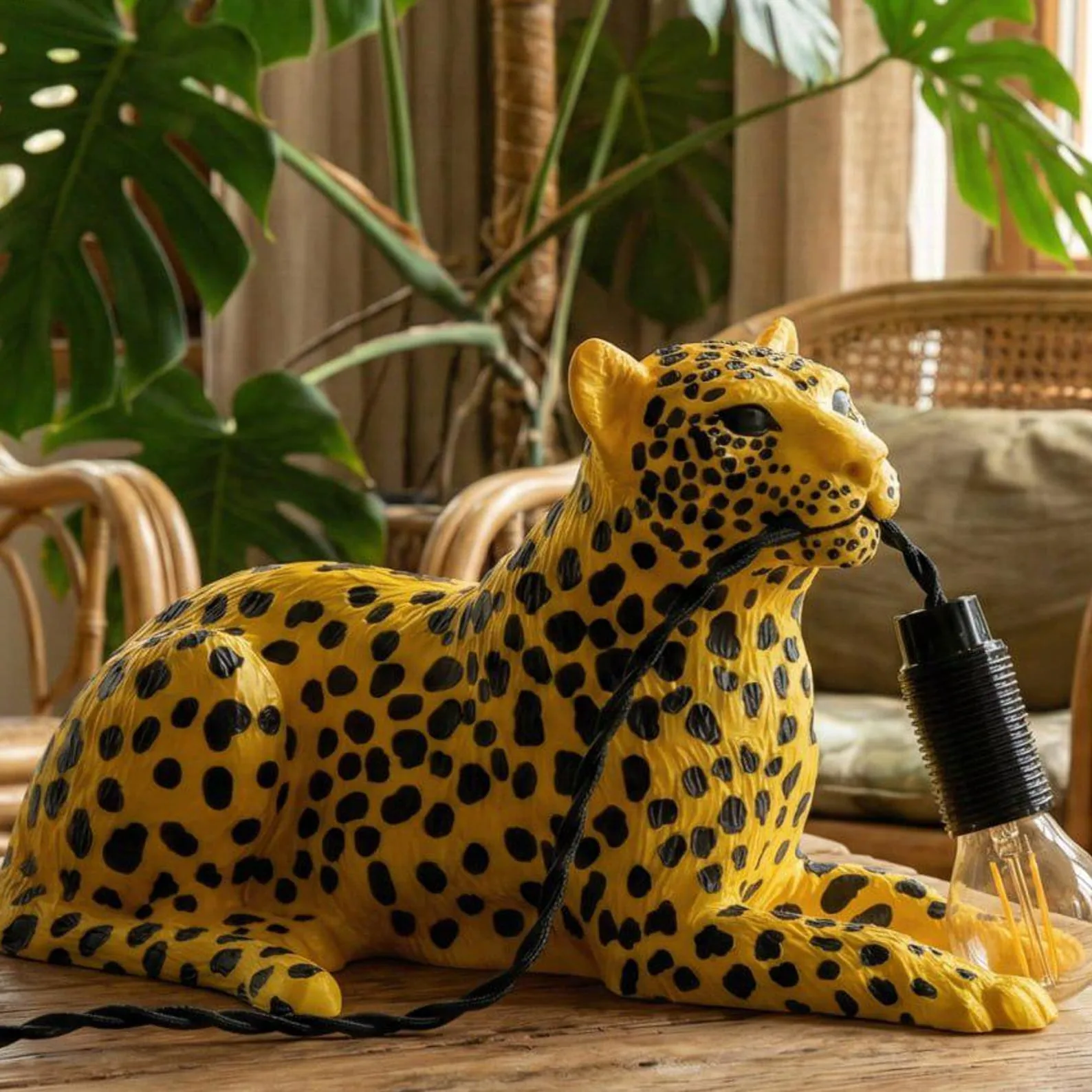 Leopard